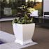 Mayne Acadia 16 in. Square Self-Watering White Polyethylene Planter