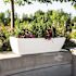 Mayne Acadia 36 in. x 11 in. Self-Watering White Polyethylene Window Box