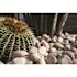 MSI Niagara Yellow 0.5 cu. ft. per Bag (1 in. to 2.5 in.) Bagged Landscape Pebbles (1 Bag/0.5 cu. ft.)
