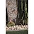 MSI Niagara Yellow 0.5 cu. ft. per Bag (1 in. to 2.5 in.) Bagged Landscape Pebbles (1 Bag/0.5 cu. ft.)