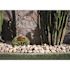 MSI Niagara Yellow 0.5 cu. ft. per Bag (1 in. to 2.5 in.) Bagged Landscape Pebbles (1 Bag/0.5 cu. ft.)