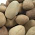 MSI Niagara Yellow 0.5 cu. ft. per Bag (1 in. to 2.5 in.) Bagged Landscape Pebbles (1 Bag/0.5 cu. ft.)