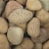 MSI Niagara Yellow 0.5 cu. ft. per Bag (1 in. to 2.5 in.) Bagged Landscape Pebbles (1 Bag/0.5 cu. ft.)