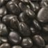 MSI Polished Black 0.5 cu. ft . per Bag (0.25 in. to 0.75 in.) Bagged Landscape Pebbles (55 Bags/22.5 cu. ft./Pallet)