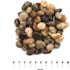 MSI Mixed Polished 0.5 cu. ft. per Bag (0.75 in. to 1.25 in.) Bagged Landscape Pebbles (28 Bags/14 cu. ft./Pallet)