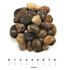 MSI Mixed Polished 0.5 cu. ft. per Bag (1 in. to 2 in.) Bagged Landscape Pebbles (28 Bags/14 cu. ft./Pallet)