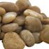 MSI Yellow Polished 0.5 cu. ft . per Bag (0.75 in. to 1.25 in.) Bagged Landscape Rock (55 bags/Covers 22.5 cu. ft.)