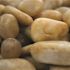 MSI Yellow Polished 0.5 cu. ft. per Bag (1 in. to 2 in.) Bagged Landscape Pebbles (28 Bags/14 cu. ft./Pallet)