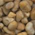 MSI Yellow Polished 0.5 cu. ft. per Bag (1 in. to 2 in.) Bagged Landscape Pebbles (55 Bags/22.5 cu. ft./Pallet)