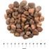 MSI Polished Red 0.5 cu. ft. per Bag (0.75 in. to 1.25 in.) Bagged Landscape Pebbles (55 Bags/22.5 cu. ft./Pallet)