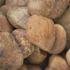 MSI Polished Red 0.5 cu. ft. per Bag (1 in. to 2 in.) Bagged Landscape Pebbles (55 Bags/22.5 cu. ft./Pallet)