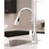 CLEVELAND FAUCET GROUP Slate Single-Handle Pull-Down Sprayer Kitchen Faucet with Deck Plate in Chrome