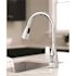 CLEVELAND FAUCET GROUP Slate Single-Handle Pull-Down Sprayer Kitchen Faucet with Deck Plate in Chrome