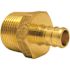 Apollo 3/4 in. Brass PEX-B Barb x 1 in. Male Pipe Thread Reducing Adapter