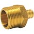 Apollo 3/4 in. Brass PEX-B Barb x 1 in. Male Pipe Thread Reducing Adapter