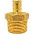 Apollo 3/4 in. Brass PEX-B Barb x 1 in. Male Pipe Thread Reducing Adapter