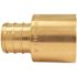 Apollo 3/4 in. Brass PEX-B Barb x 3/4 in. Female Copper Sweat Adapter Pro Pack (30-Pack)