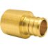 Apollo 3/4 in. Brass PEX-B Barb x 3/4 in. Female Copper Sweat Adapter Pro Pack (30-Pack)