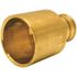 Apollo 3/4 in. Brass PEX-B Barb x 3/4 in. Female Copper Sweat Adapter Pro Pack (30-Pack)