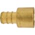 Apollo 1/2 in. Brass PEX-B Barb x 1/2 in. Female Copper Sweat Adapter Pro Pack (40-Pack)