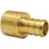 Apollo 1/2 in. Brass PEX-B Barb x 1/2 in. Female Copper Sweat Adapter Pro Pack (40-Pack)