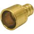 Apollo 1/2 in. Brass PEX-B Barb x 1/2 in. Female Copper Sweat Adapter Pro Pack (40-Pack)