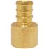 Apollo 1/2 in. Brass PEX-B Barb x 1/2 in. Female Copper Sweat Adapter Pro Pack (40-Pack)
