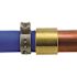 Apollo 1/2 in. Brass PEX-B Barb x 1/2 in. Female Copper Sweat Adapter Pro Pack (40-Pack)