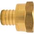 Apollo 3/4 in. Brass PEX-B Barb x 3/4 in. Female Pipe Thread Adapter Pro Pack (25-Pack)