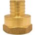 Apollo 3/4 in. Brass PEX-B Barb x 3/4 in. Female Pipe Thread Adapter Pro Pack (25-Pack)