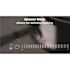 Kenyon Bridge 12 in. Smooth Induction Cooktop in Black with 2-Elements Including Bridge Burner