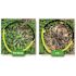 Avenger Weed Killer 1 Gal. Weed Killer Concentrate (Case of 4)