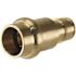 Apollo 1/2 in. Brass PEX-A Barb x 1/2 in. Press Adapter