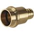 Apollo 3/4 in. Brass PEX-B Barb x 3/4 in. Press Adapter