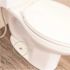 Fluidmaster SetFast Pro 5/16 in. x 2-1/4 in. No Cut Brass Closet Toilet Bolt Kit