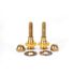 Fluidmaster SetFast Pro 5/16 in. x 2-1/4 in. No Cut Brass Closet Toilet Bolt Kit