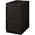 Hirsh 23 in. D 2-Drawer Black Mobile Metal Letter Width 15 in. W Pedestal File Cabinet File-File