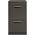 Hirsh 23 in. D 2-Drawer Charcoal Metal Letter Width 15 in. W Mobile Pedestal File Cabinet File-File with Arch Pull