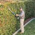 Makita LXT 18V Brushless 24 in. Pole Hedge Trimmer Kit (5.0 Ah)