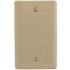 HUBBELL WIRING 1-Gang Ivory Box Mount Blank Wall Plate