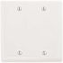 HUBBELL WIRING 2-Gang White Medium Size Box Mount Blank Wall Plate
