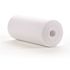 Aqua Flo 4.5 in. x 20 in. Polyphosphate Replacement Water Filter Cartridge