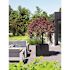Vasesource 36.25 in. x 43.25 in. x 43.25 in. Jumbo XL Black Cube Fiberstone Planter