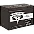 Pro Series Pumps 100 Amp Hour (Ah) Maintenance Free (AGM) Standby Sump Pump Battery