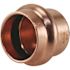 Apollo 3/4 in. Copper Press Tube Cap
