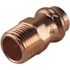 Apollo 1/2 in. x 1/2 in. Copper Press x MPT Male Adapter