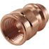 Apollo 3/4 in. x 3/4 in. Copper Press x FPT Pressure Adapter