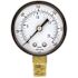 100 Series 2 in. Dial 1/4 NPT Lower Mount 300 psi Utility Accessory