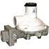1/2 X 1/2 FPT Regulator 10 lb X2 psi 700K BTU compact body