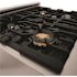 ZLINE Kitchen and Bath 30 in. 4 Burner Dual Fuel Range with Brass Burners in Stainless Steel
